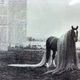 Illustration for article titled The real-life My Little Ponies were creepy and magnificent beasts